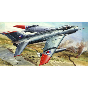MiG-19S