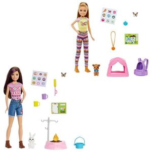 Mattel Barbie DHA KEMPUJÍCÍ SESTRA SE ZVÍŘÁTKEM ASST