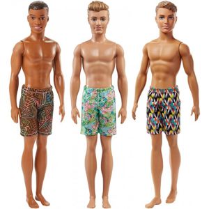 Mattel Barbie Ken v plavkách, více druhů