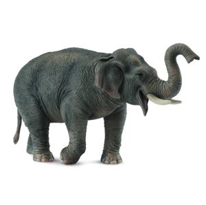 Slon asijský - model zvířátka