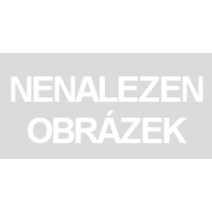 Meteor Beanie Boos RODNEY - vícebarevný křeček 15 cm
