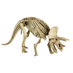 Spiegelburg Excavation kit Triceratops T-Rex World